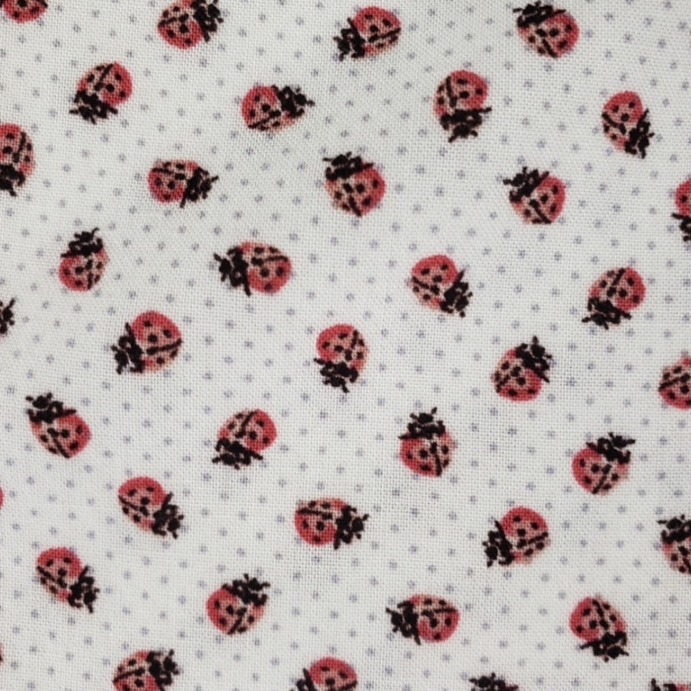Max Studio Ladybug Top 🐞 - Picture 6 of 9
